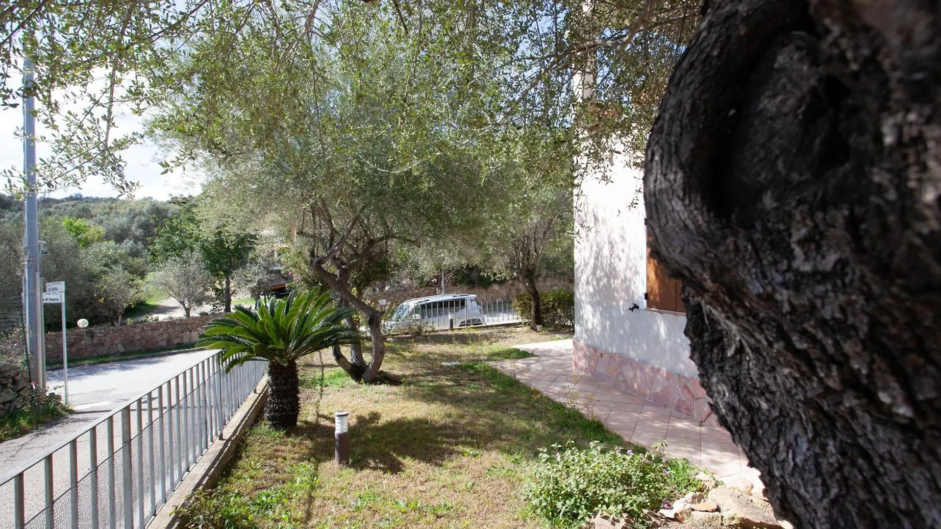 Sa Domo E Aurelia Lägenhet San Teodoro
